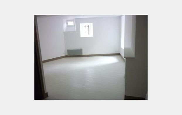 Location Appartement P1 Chevalier 4 Mende - Photo 1