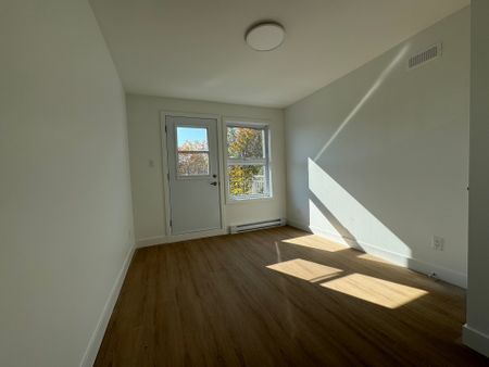 Appartement à louer, Montréal (Ville-Marie) - Photo 5