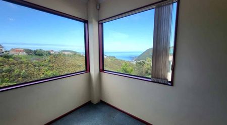 Spacious 5-Bedroom Home with Stunning Ocean Views – 17 Jordan Street, Island Bay - Photo 5