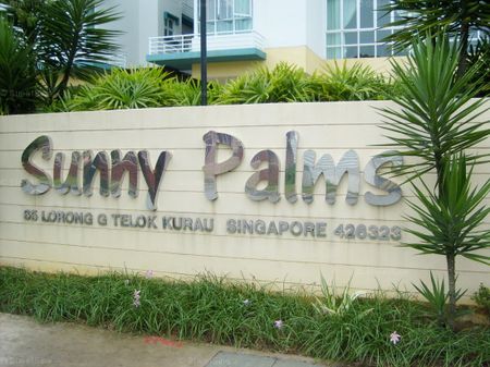 Sunny Palms (D15), Condominium - For Rent - Photo 5