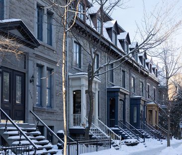 1160 Saint-Mathieu, Montréal, QC - Photo 4