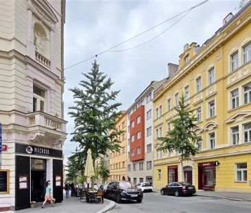 Kompletně zařízený byt 2+kk (balkón s výhledem) v posledním patře d... - Photo 3