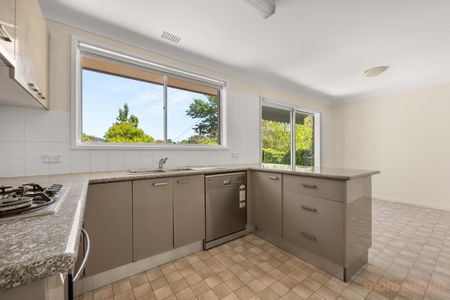 30 Spafford Crescent, Farrer ACT 2607 - House For Rent | Domain - Photo 4