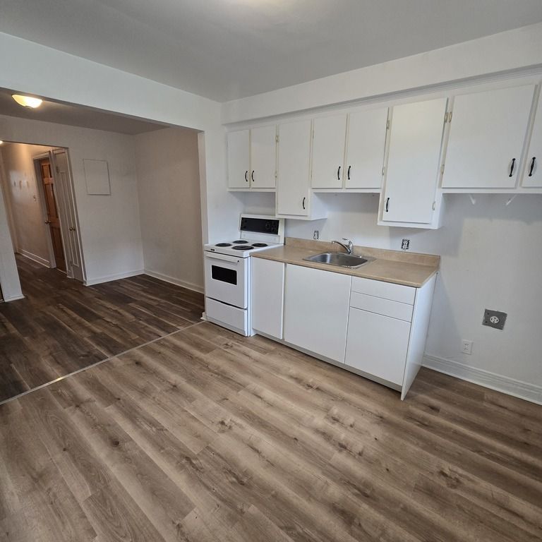 3 1/2 Mercier/Parc Bellerive - Photo 1
