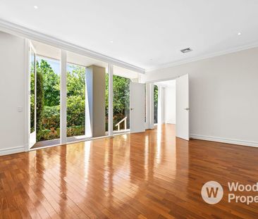 Contemporary Family Living in Hawthorn East - Photo 6