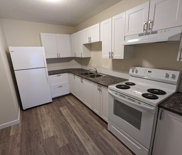 Charming 1 Bed 1 Bath Apartment in heart of DOWNTOWN Red Deer - Photo 1