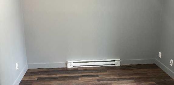 3 1/2 Rénové à St-Jérôme avec balcon - Électros et stationnement inclus - Photo 2