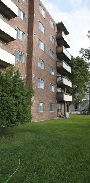 Collingwood Place - Photo 1