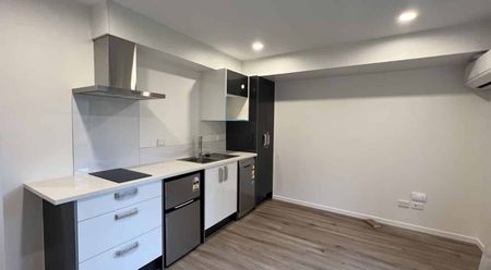 Near New 1 bedroom studios avail - Photo 3