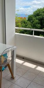 Location Appartement 1 pièce Meublé 19m² LES ABYMES 97139 - Photo 4