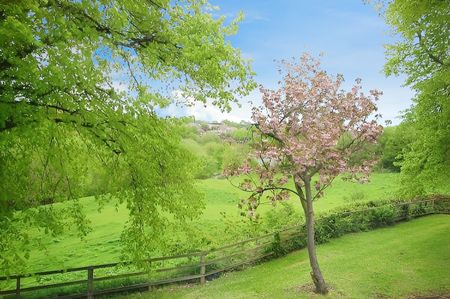 1 bedroom apartment to rent Westminster Terrace, Handbridge, Chester, CH4 - Photo 5