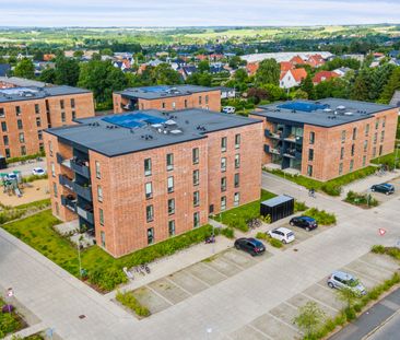 8920, Randers Nv - Photo 3