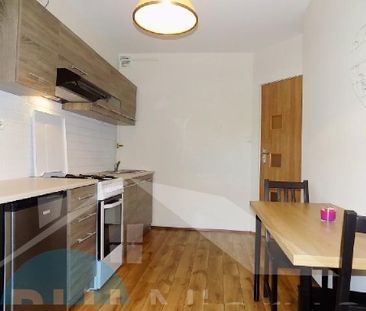 Mieszkanie Głogów Stare Miasto powierzchnia 51.3 m² C391-WM-99896 - Photo 5