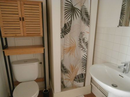 Location Appartement 1 pièce 21m² LE MANS 72000 - Photo 5
