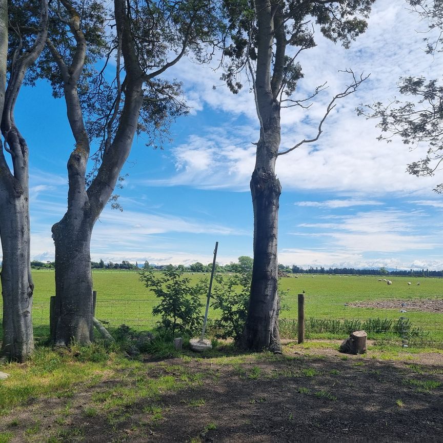 3 Bedroom cottage with rural outlook - Photo 1