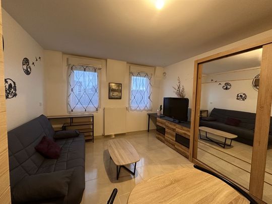 Location Appartement 1 pièce 27m² BOISSY ST LEGER 94470 - Photo 1