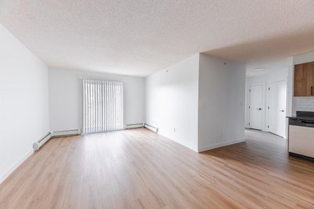 1 Bedroom - Photo 2