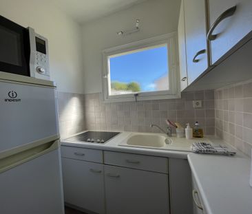Location Appartement 2 pièces 35m² LE LAVANDOU 83980 - Photo 5