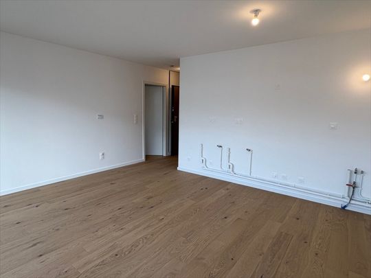 Appartement 2 pièces à Strasbourg - Photo 1