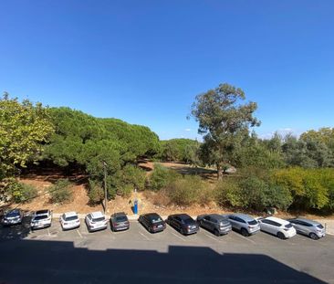 Lisboa, Lisbon - Photo 2