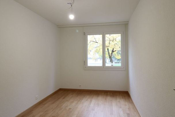 3.5 -Zimmer-Wohnung - Foto 1