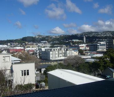 Sunny, warm, upstairs flat close to Courtenay Pl - Photo 3