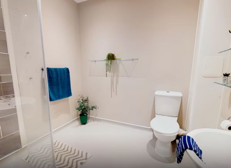 Silver Studio Plus - Photo 4