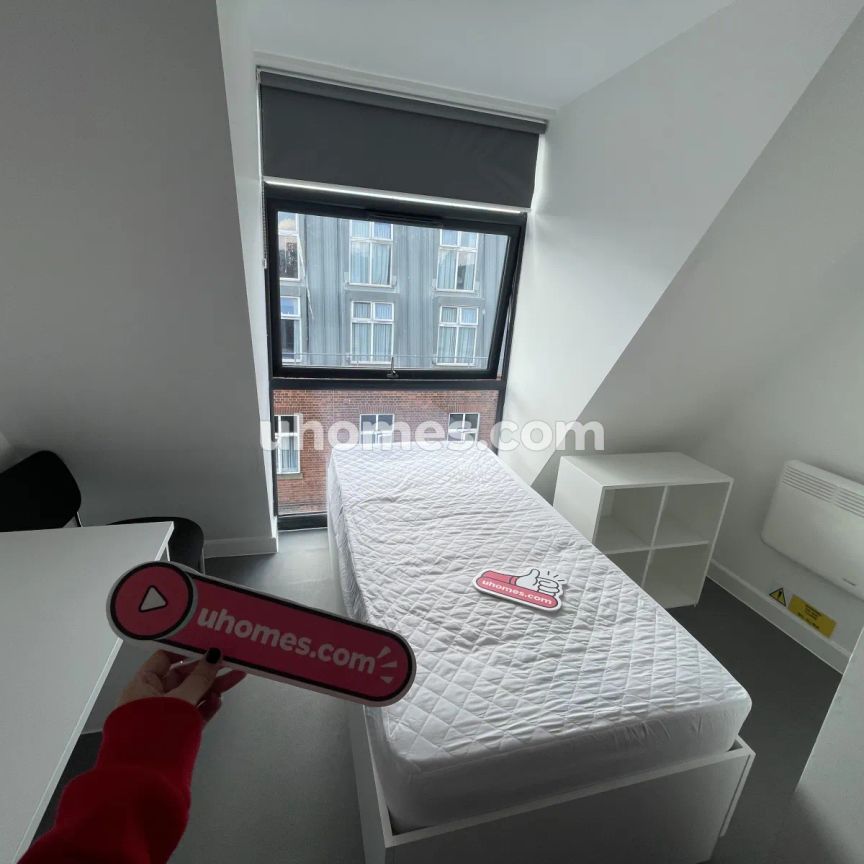 Standard Studio - Photo 1