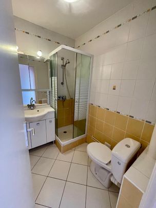 Location Appartement 1 pièce 20m² NANCY 54100 - Photo 1