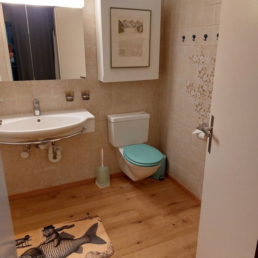 APPARTEMENT D’UNE PIÈCE À THUN (BE), MEUBLÉ, TEMPORAIRE - Foto 1