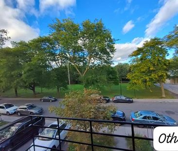 6644 Av. McLynn - Photo 6