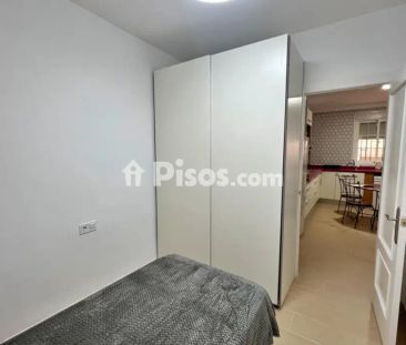 Piso en alquiler en Cruz de Humilladero- Paseo de los Tilos - Photo 6