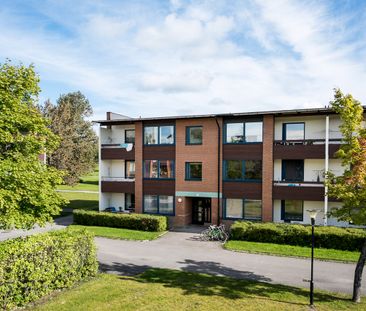 Divisionsgränd 8, Östersund - Photo 1