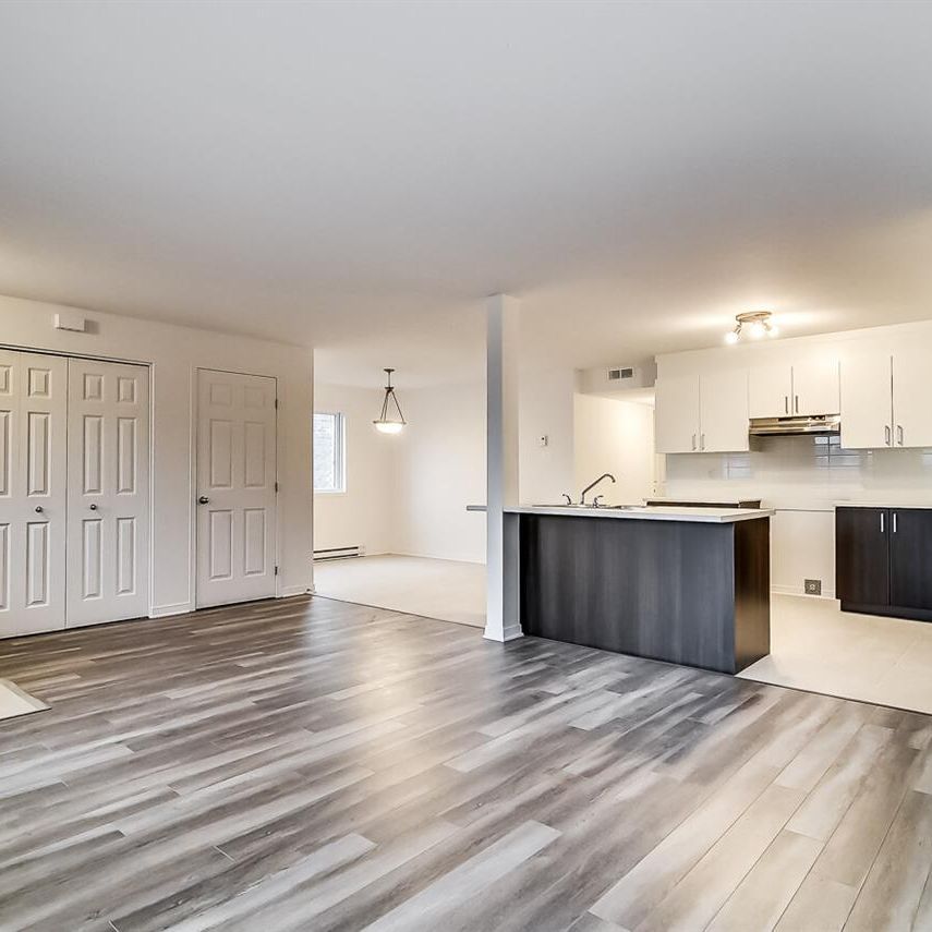 19 Rue De Liverpool (Hull) Magnifique Appartement 2 Chambres, Plateau - Photo 1