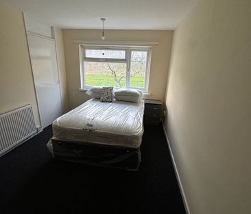 Room in a Shared House, Papyrus Way, B36 - Photo 3