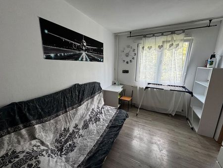 Drumul Taberei, Crinul de Padure, - Photo 3
