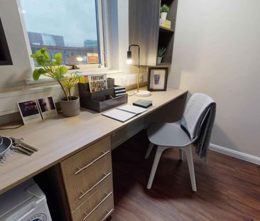 Gold Mini Studio - Photo 6