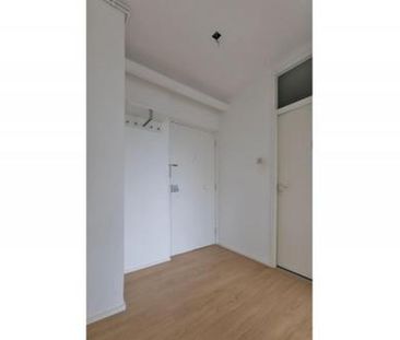 Hijmans van den Berghlaan 3571 Utrecht - Photo 3