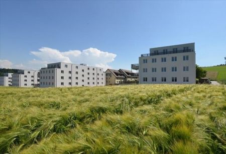 Nouveau - Bâtiment neuf - Bodelenweg - Location sans caution - Photo 3