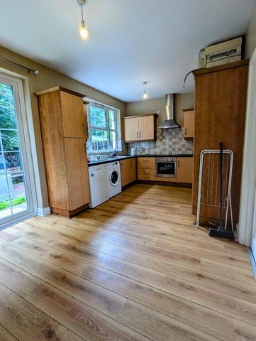 16 Millrace Mews, Moneymore, BT45 7WG - Photo 4