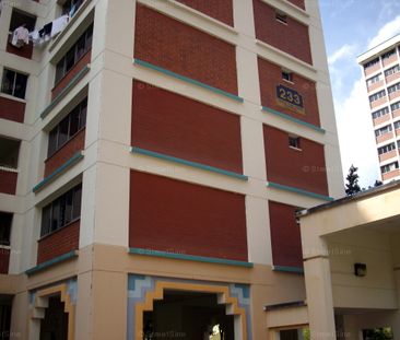 Blk 233 Choa Chu Kang Central (Choa Chu Kang), HDB 4 Rooms - For Rent - Photo 3