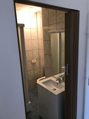 Location Appartement 1 pièce 18m² - Photo 3