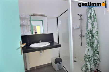 Location Appartement 3 pièces 63m² CAYENNE 97300 - Photo 5