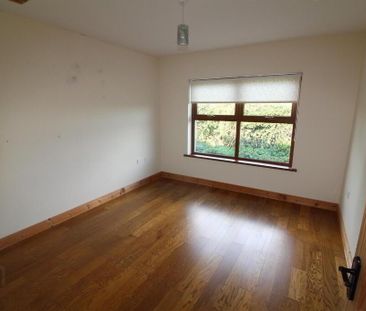 56a Drumroe Road, Strangford, BT30 7AR - Photo 4