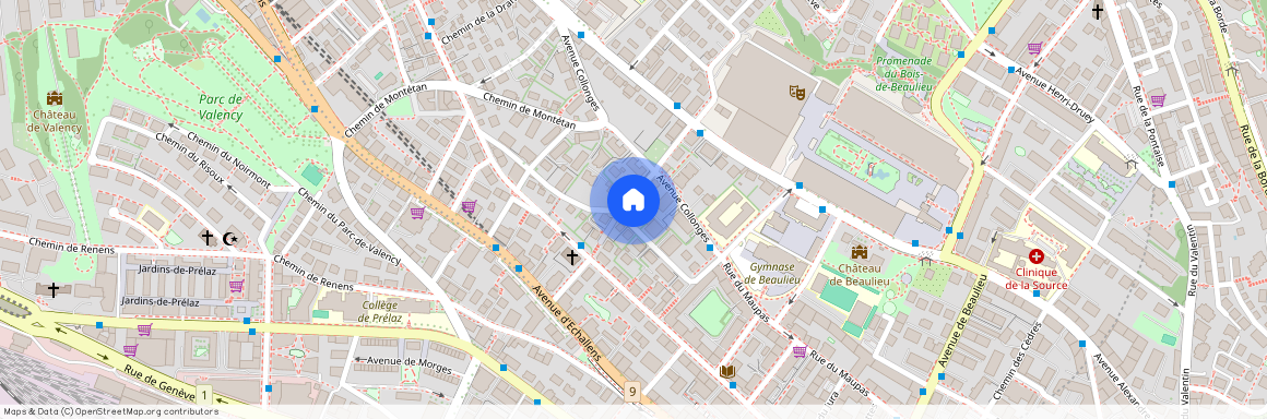 Chemin des Aubépines 8, 1004 Lausanne