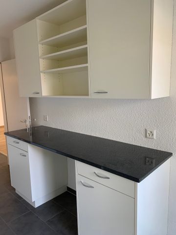 3 Zi.-Wohnung mit grosser Terrasse, stadtnah und ruhig - Foto 3