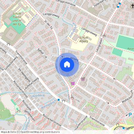 8047, Zürich, Altweg, 17