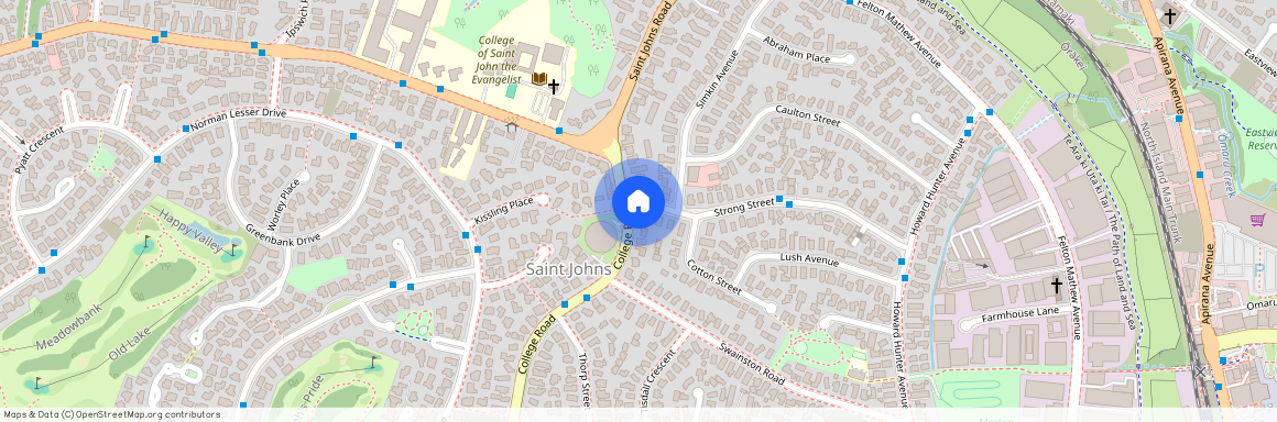 1 Strong Street, St Johns, Auckland City