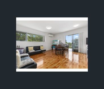 8 Starling Street, Buderim, Qld 4556 - Photo 4