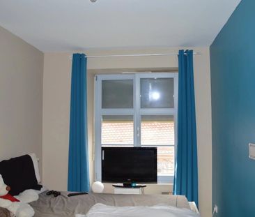 SPACIEUX APPARTEMENT ALTKIRCH - Photo 3